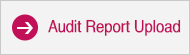 Audit Report Upload